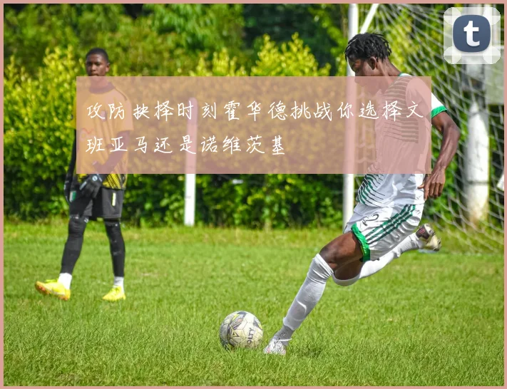 攻防抉择时刻霍华德挑战你选择文班亚马还是诺维茨基